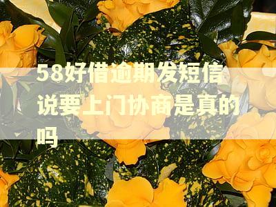 58好借逾期发短信说要上门协商是真的吗 58好借逾期发短信说要上门协商是真的吗
