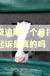 房贷逾期一个月打电话起诉是真的吗