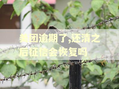 美团逾期了,还清之后征信会恢复吗
