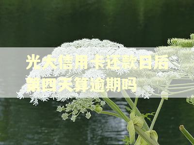 光大信用卡还款日后第四天算逾期吗