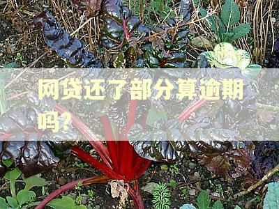 网贷还了部分算逾期吗?