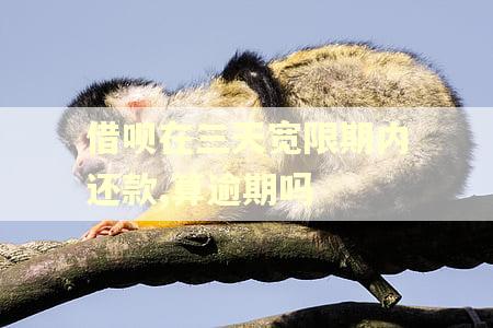 借呗在三天宽限期内还款,算逾期吗