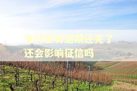 支付宝有逾期还完了还会影响征信吗