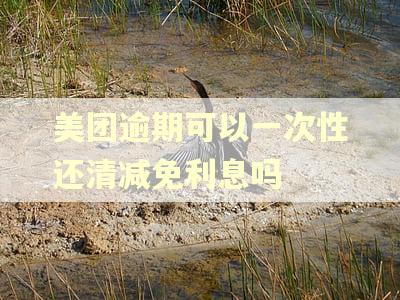 美团逾期可以一次性还清减免利息吗