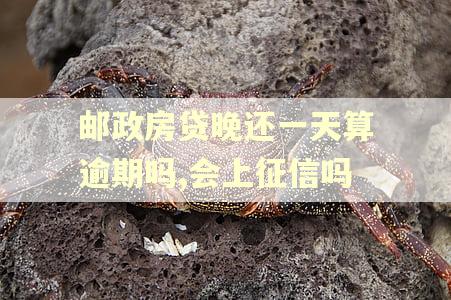 邮政房贷晚还一天算逾期吗,会上征信吗