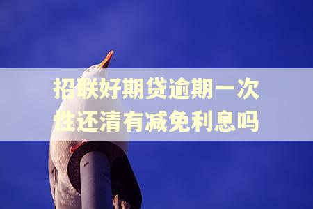 招联好期贷逾期一次性还清有减免利息吗