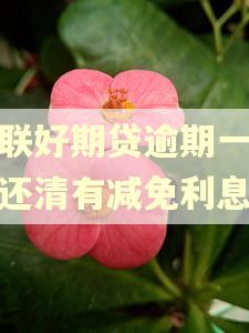 招联好期贷逾期一次性还清有减免利息吗