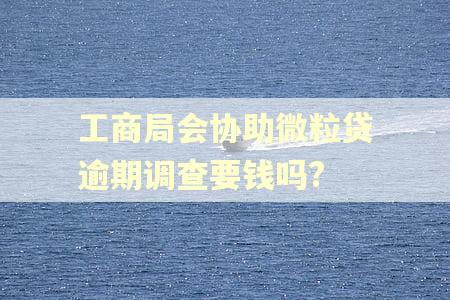 工商局会协助微粒贷逾期调查要钱吗?