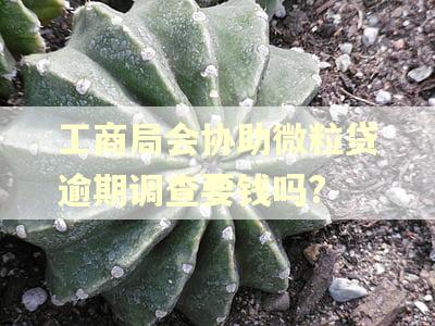 工商局会协助微粒贷逾期调查要钱吗?