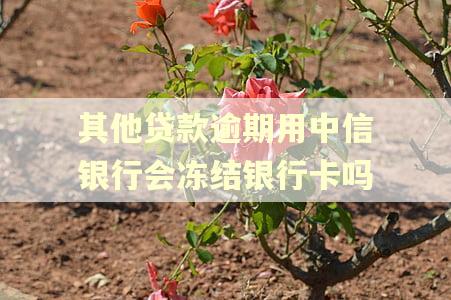 其他贷款逾期用中信银行会冻结银行卡吗