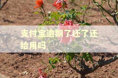 支付宝逾期了还了还给用吗