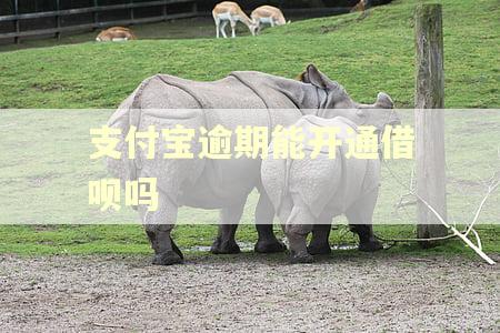 支付宝逾期能开通借呗吗
