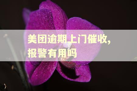 美团逾期上门催收,报警有用吗
