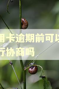 信用卡逾期前可以和银行协商吗