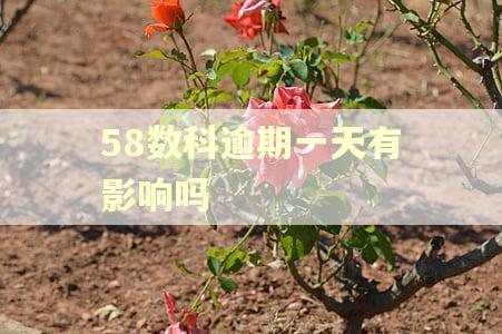 58数科逾期一天有影响吗