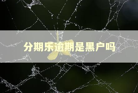 分期乐逾期是黑户吗