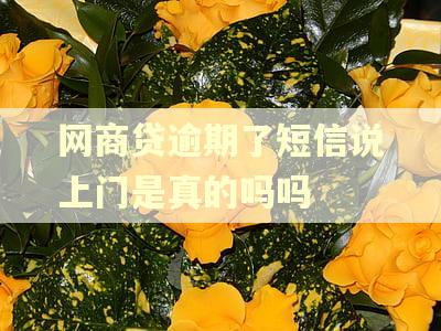 网商贷逾期了短信说上门是真的吗吗