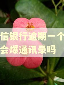 中信银行逾期一个星期会爆通讯录吗