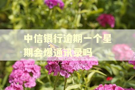 中信银行逾期一个星期会爆通讯录吗