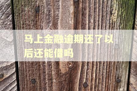 马上金融逾期还了以后还能借吗