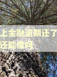 马上金融逾期还了以后还能借吗