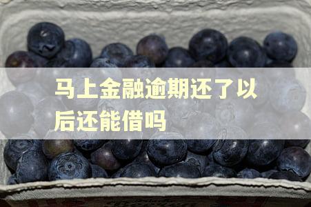 马上金融逾期还了以后还能借吗 马上金融逾期还了以后还能借吗