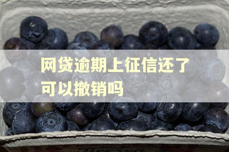 网贷逾期上征信还了可以撤销吗