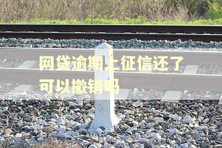 网贷逾期上征信还了可以撤销吗