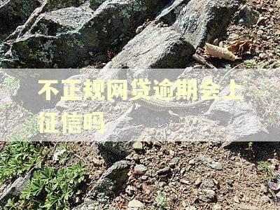 不正规网贷逾期会上征信吗