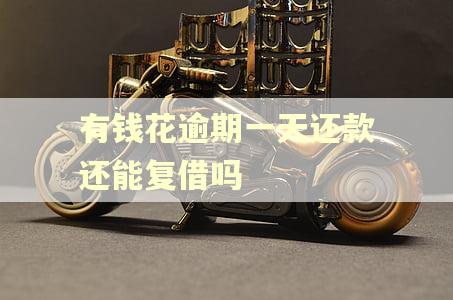 有钱花逾期一天还款还能复借吗