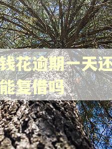 有钱花逾期一天还款还能复借吗 有钱花逾期一天还款还能复借吗