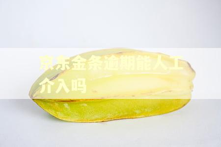 京东金条逾期能人工介入吗