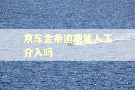 京东金条逾期能人工介入吗