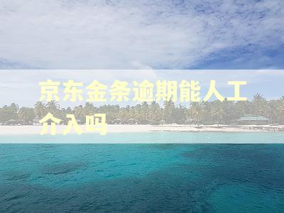 京东金条逾期能人工介入吗