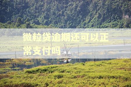 微粒贷逾期还可以正常支付吗