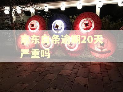 京东白条逾期20天严重吗