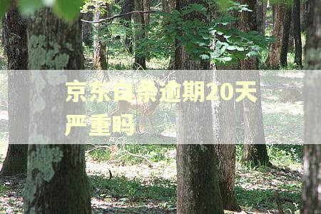 京东白条逾期20天严重吗