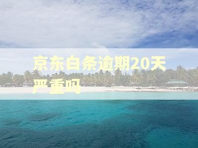京东白条逾期20天严重吗