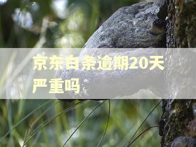 京东白条逾期20天严重吗 京东白条逾期20天严重吗