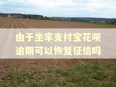 由于坐牢支付宝花呗逾期可以恢复征信吗