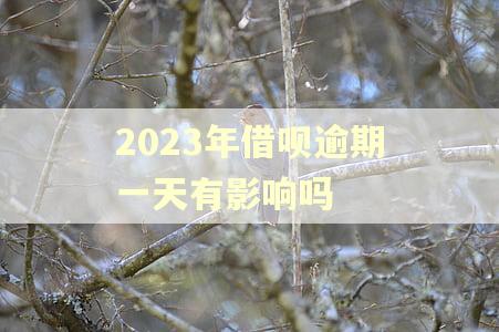 2023年借呗逾期一天有影响吗