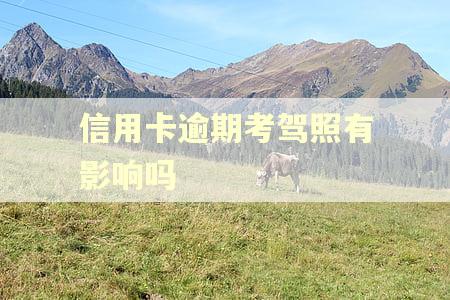 信用卡逾期考驾照有影响吗