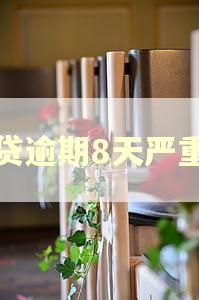 房贷逾期8天严重吗