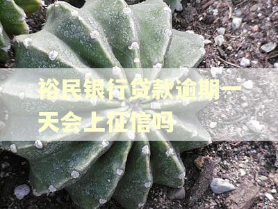 裕民银行贷款逾期一天会上征信吗