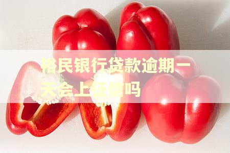裕民银行贷款逾期一天会上征信吗