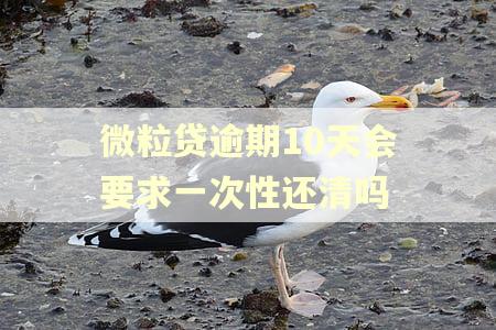 微粒贷逾期10天会要求一次性还清吗 微粒贷逾期10天会要求一次性还清吗