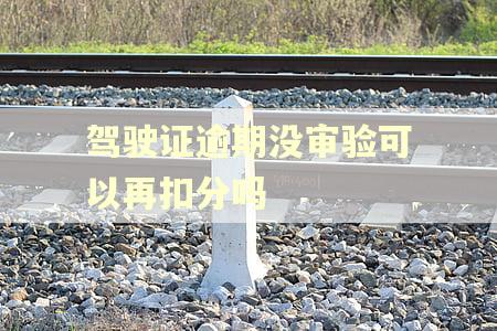 驾驶证逾期没审验可以再扣分吗