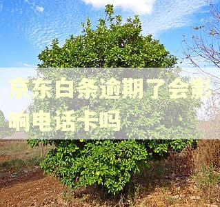 京东白条逾期了会影响电话卡吗 京东白条逾期了会影响电话卡吗