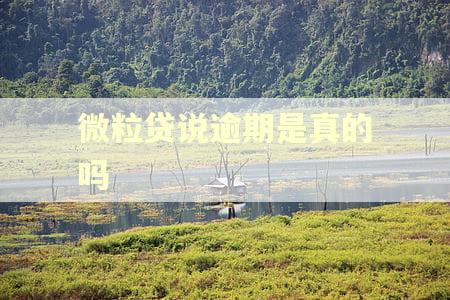 微粒贷说逾期是真的吗 微粒贷说逾期是真的吗