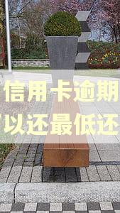 民生信用卡逾期3天还可以还最低还款吗